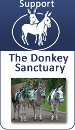The Donkey Sanctuary 