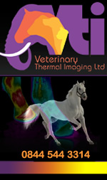 Equine Thermography