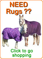 Shop for Horse Rugs