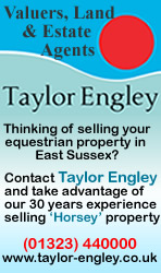 Taylor Engley - Valuers, Land and Estate Agents
