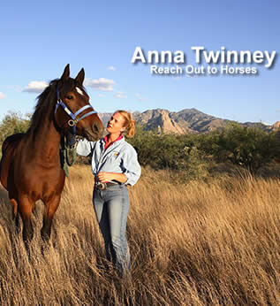 Anna Twinney reaches out to horses