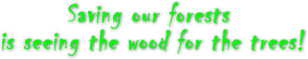 Saving our forests is seeing the wood for the trees