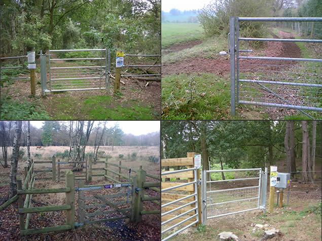 Are these the most dangerous  bridleway gates in the country ?