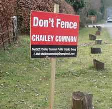 Chailey Common to be fenced for grazing cattle